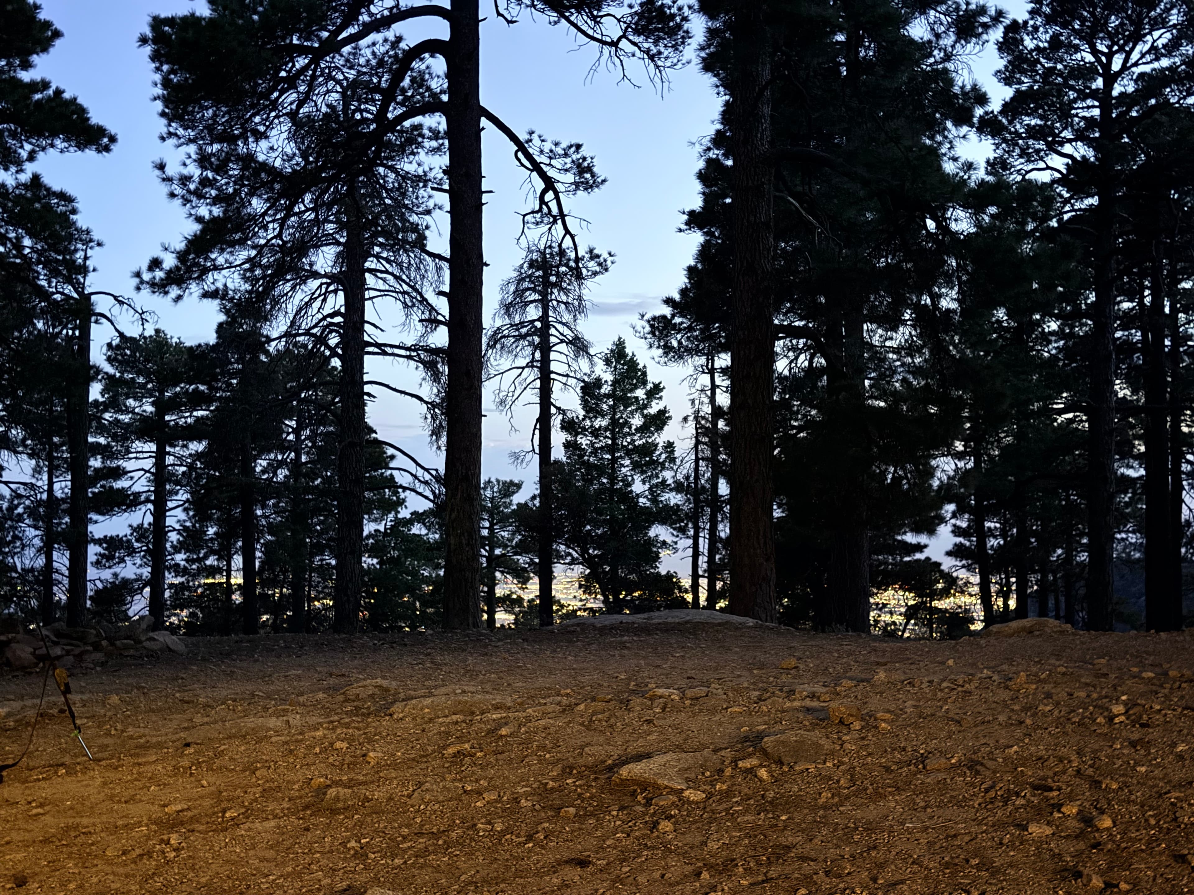 Mt. Lemmon Overland Run