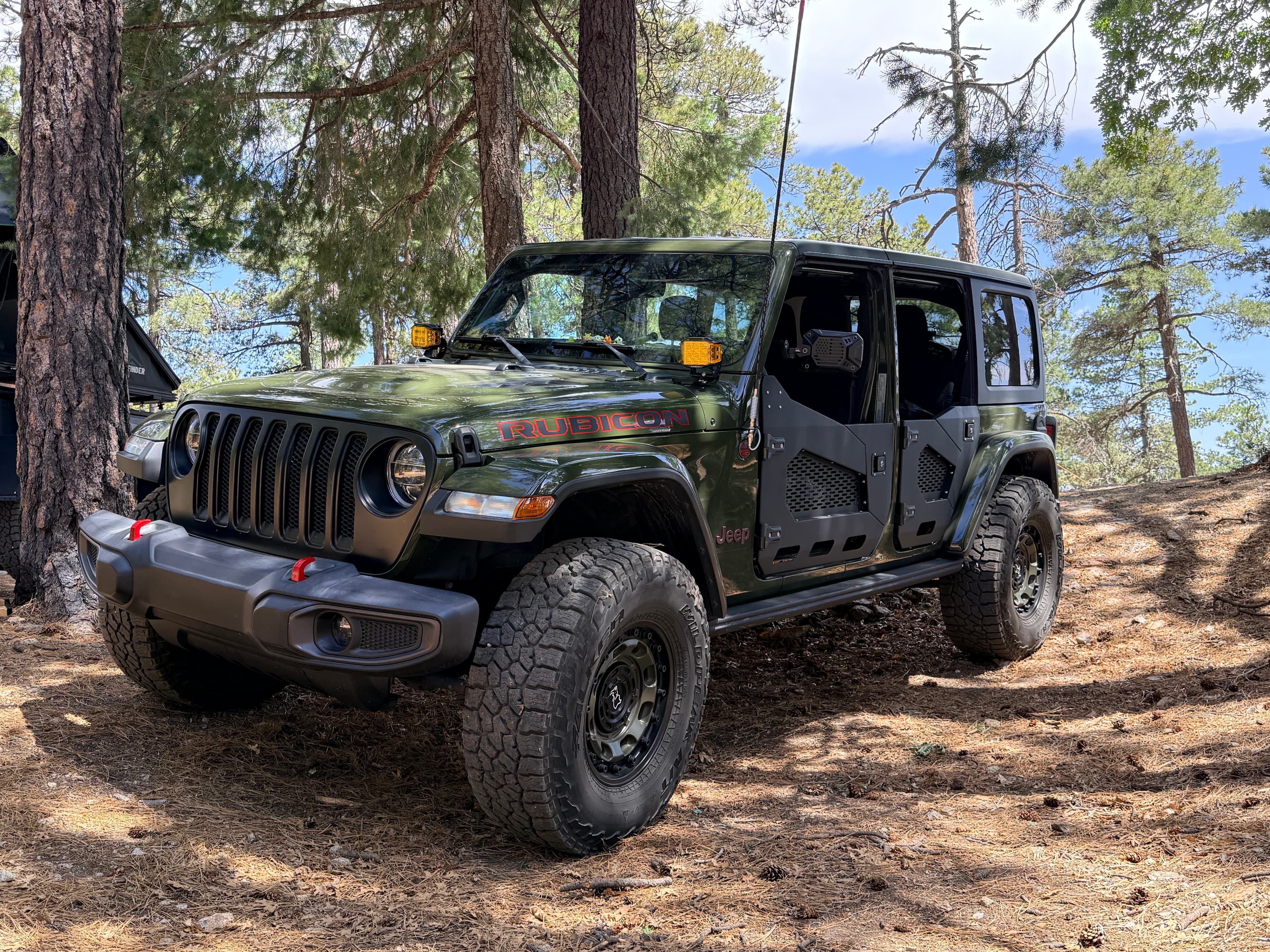 Jeep Rubi in the Pines