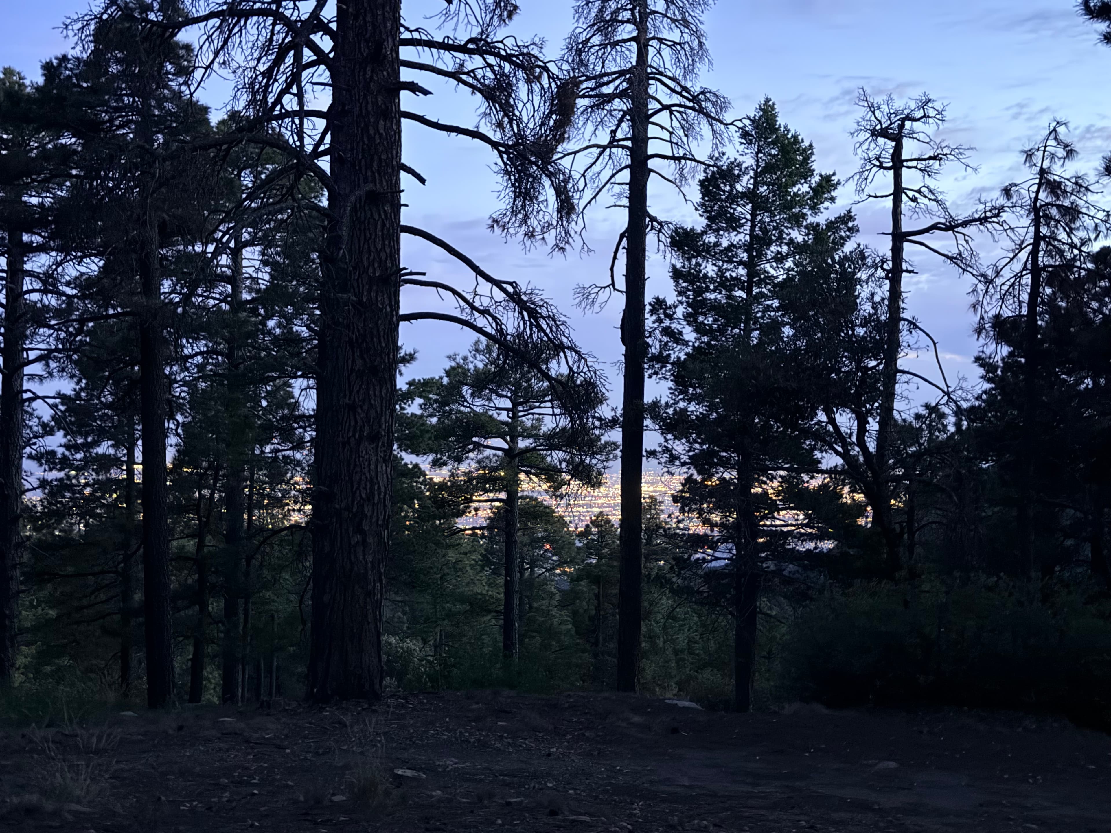Sunset with City Lights at 8300 FT.
