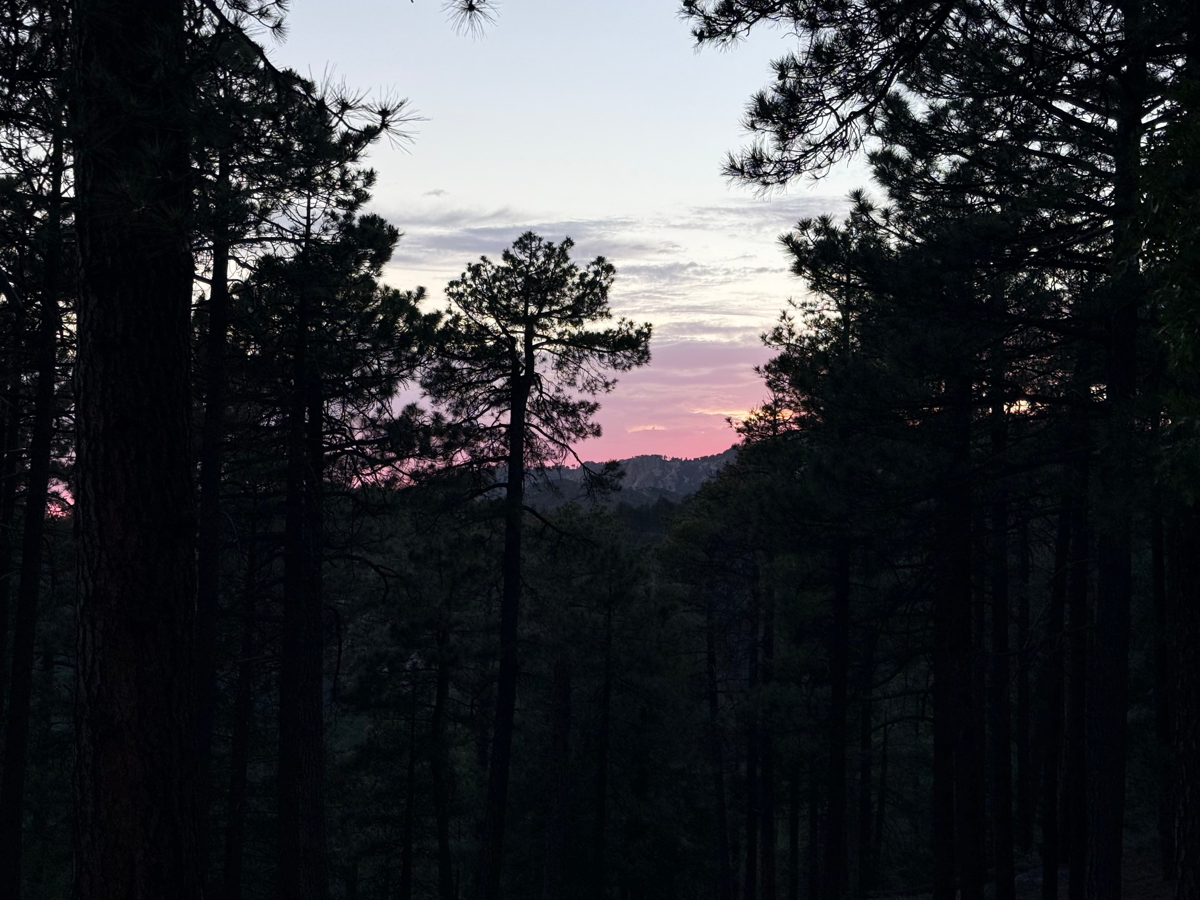 Pink Sunset Night 2